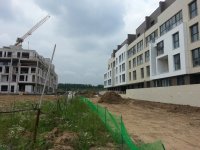 20130804_175220.jpg