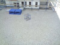 IMG_20130808_113324.jpg