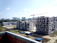 IMG_20130808_114715.jpg