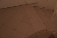 IMG_9586.JPG