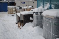 DSC_0621.JPG