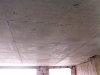 IMG_0922.JPG