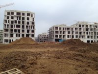 IMG_2367s.jpg