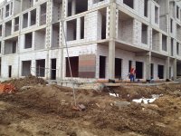 IMG_2373s.jpg