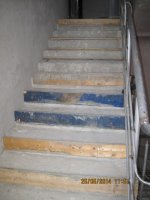 IMG_4638.JPG