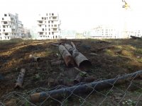 DSCF1739.JPG