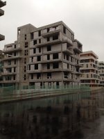 IMG_0915.jpg