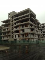 IMG_0916.jpg