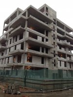 IMG_0918.jpg