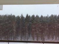 IMG_1919.JPG