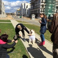 IMG_0878.JPG