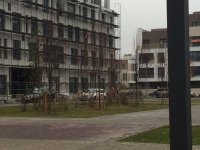 IMG_2551.JPG