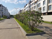 20160528_165940.jpg