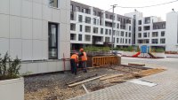 20160719_084412.jpg
