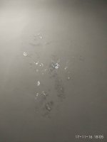 IMG_20161117_180531.jpg