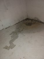 IMG_20161221_125625.jpg