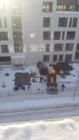20170203_145654.jpg