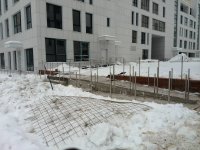 IMG_20170204_121748.jpg