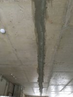 IMG_1901.JPG