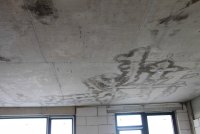 IMG_2884.JPG