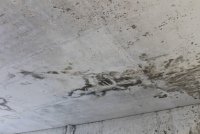 IMG_2885.JPG