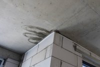IMG_2888.JPG