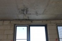 IMG_2886.JPG