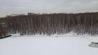 2017-02-28 17.27.37.jpg