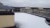 2017-02-28 17.28.52.jpg