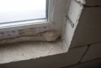 20170303-IMG_1127.jpg
