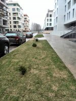 IMG_20170422_151126.jpg