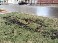 IMG_20170422_151034.jpg